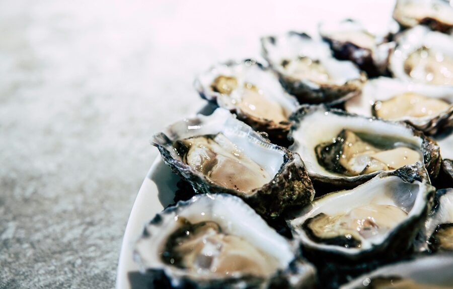 A vibrant dining scene in Orlando featuring a variety of gourmet and casual restaurant options for food lovers.